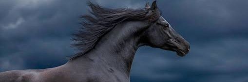 haythoo29's profile banner image