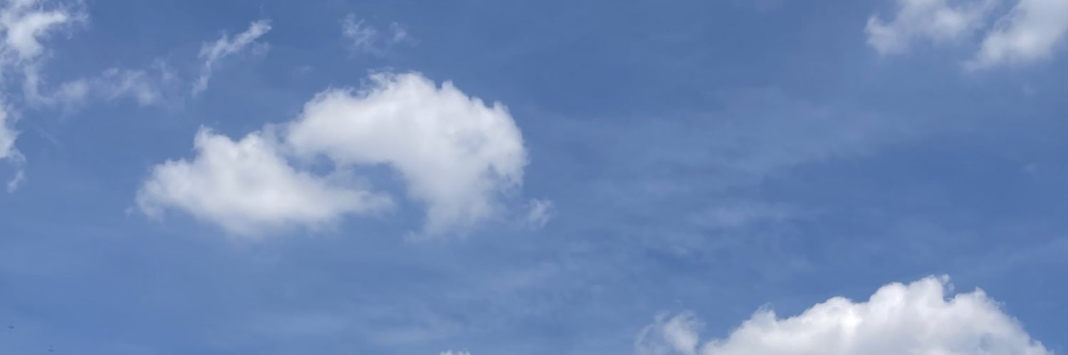 ara_silly's profile banner image