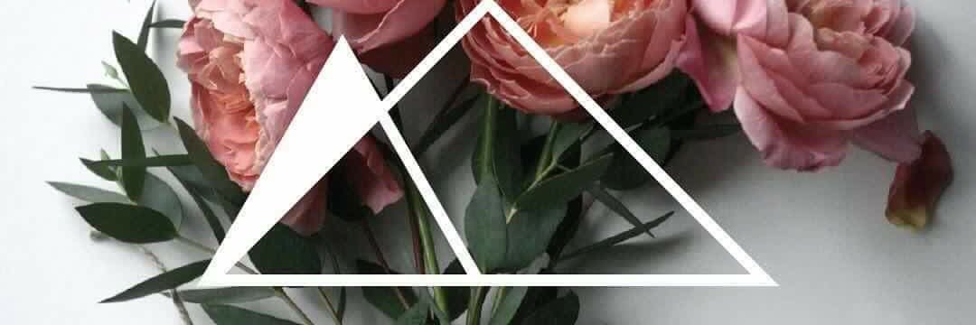 twitdemaria's profile banner image