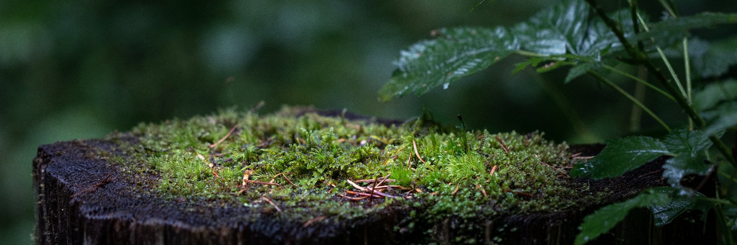 Twitter banner for @hyr0