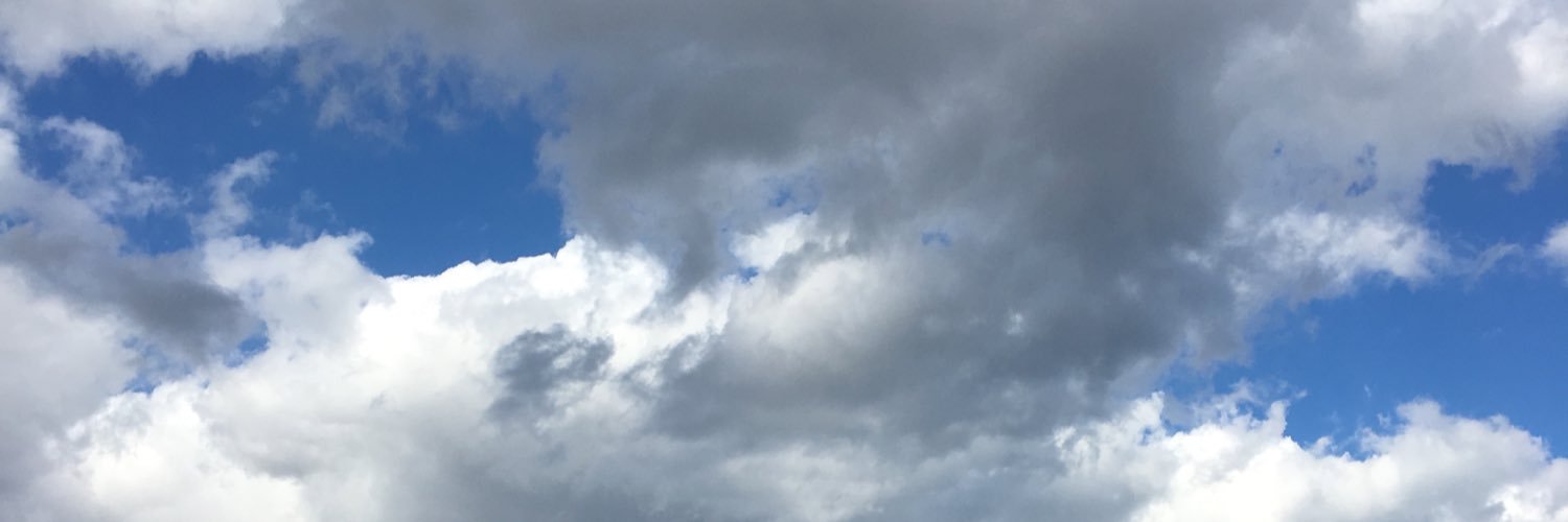 pernillepun's profile banner image