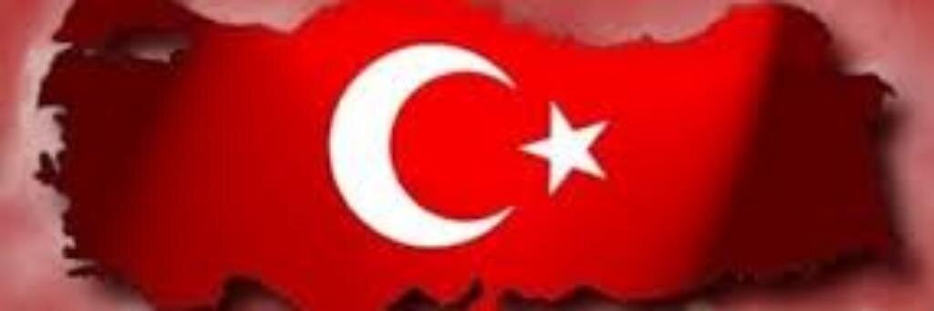 flznvzt's profile banner image