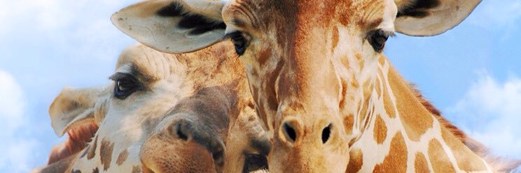ilgimkucuk's profile banner image