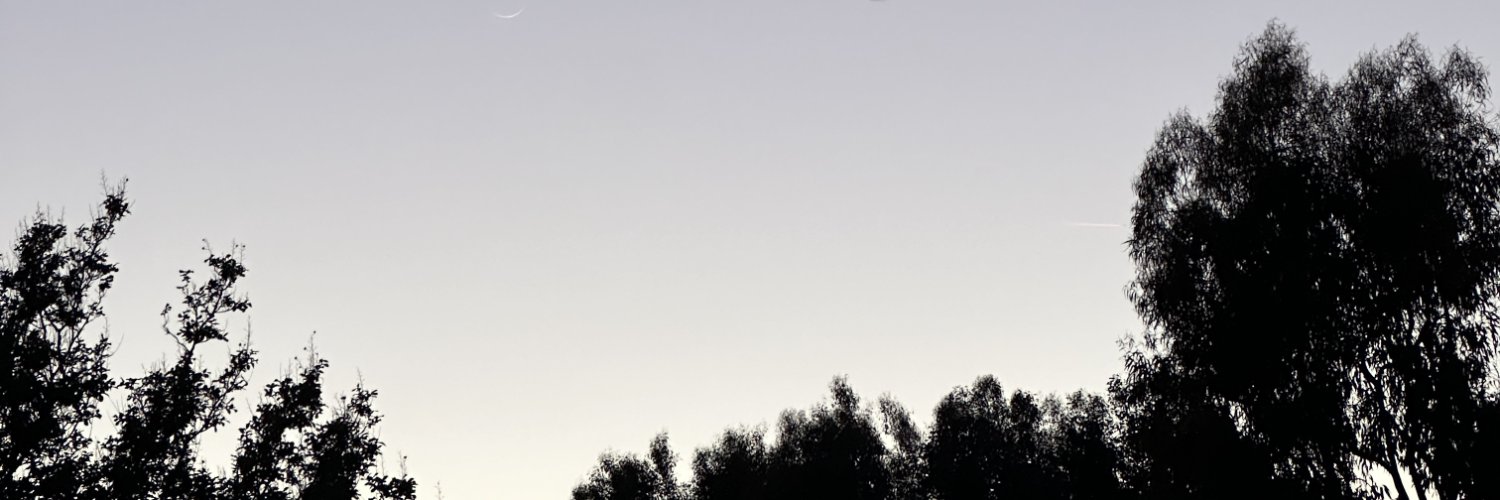 tejashwa's profile banner image