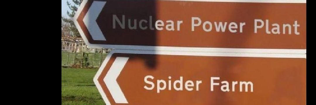 peter_parkster's profile banner image