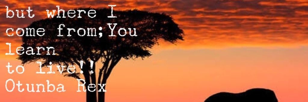 otunbarex's profile banner image
