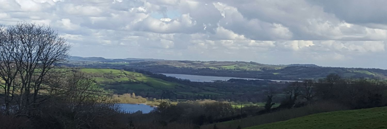 Siobhan Watson banner