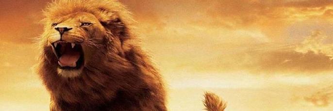 getdada4u's profile banner image