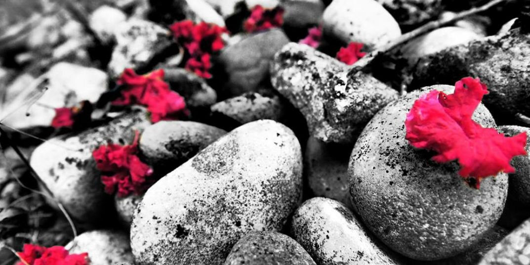 pentimentalist's profile banner image