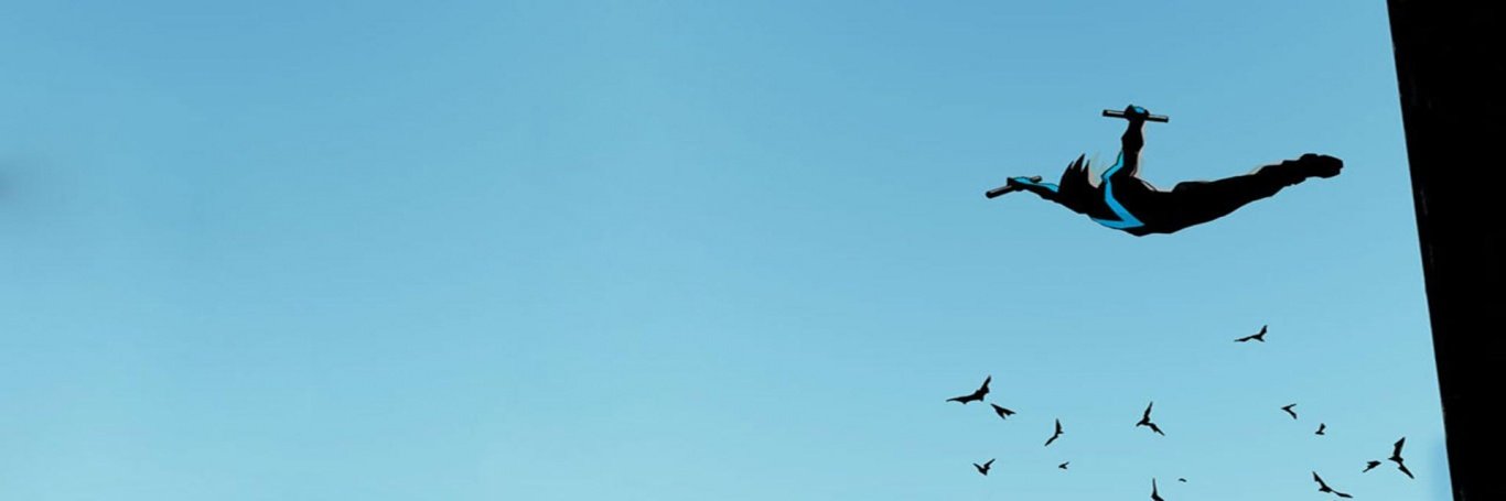 VigilanteWonder's profile banner image
