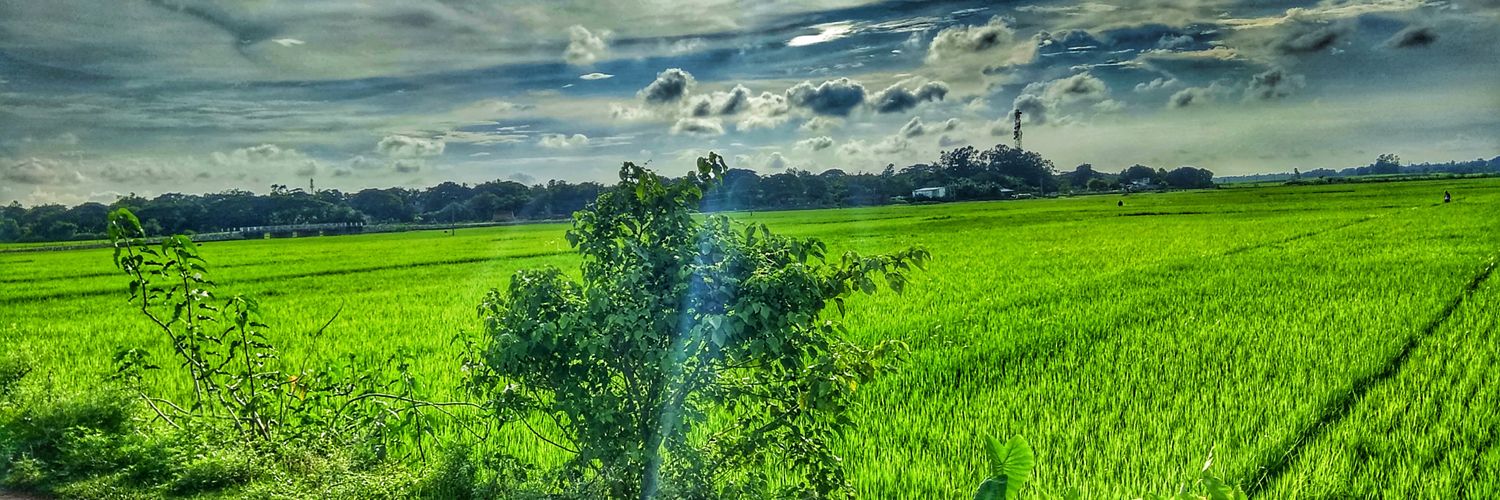 malayparida2000's profile banner image