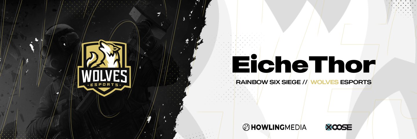 EicheThor banner