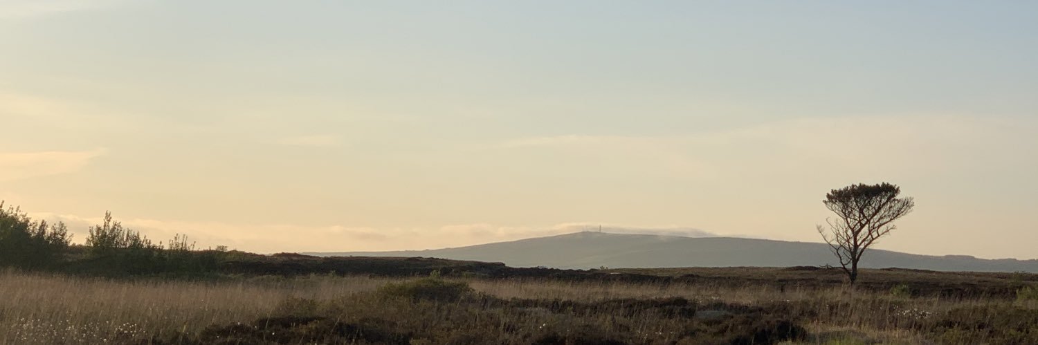 TarrantGer's profile banner image