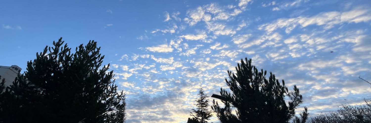 tarcinkiz3's profile banner image