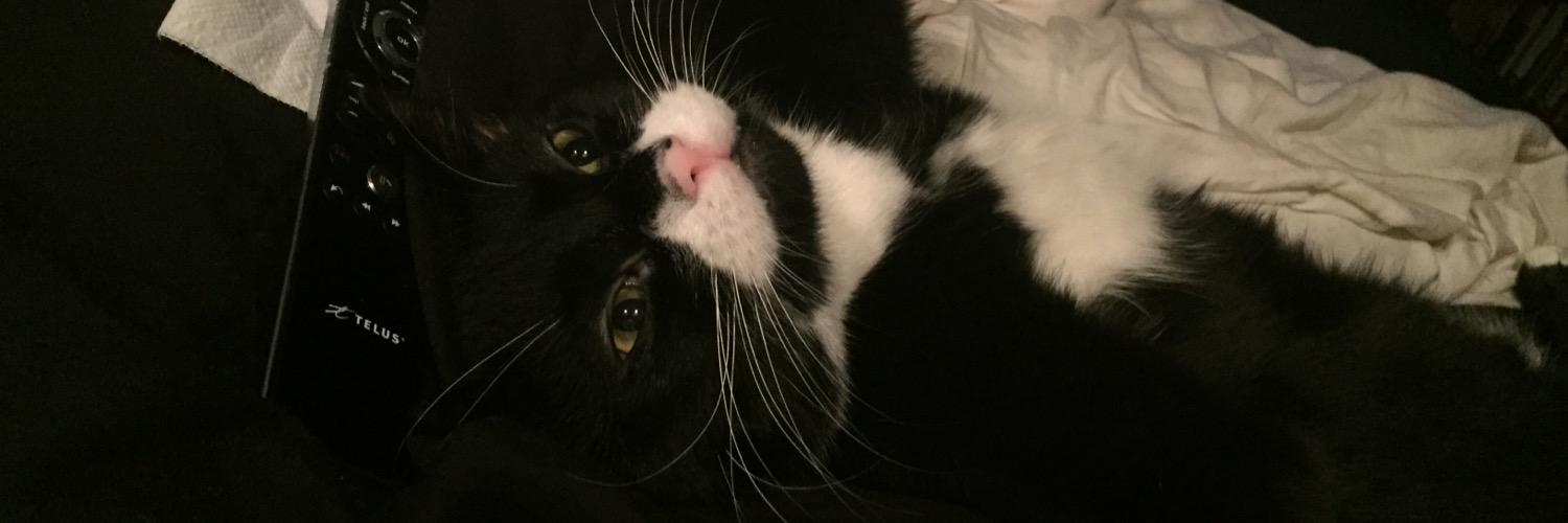 katjjunghans's profile banner image