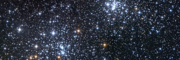 Viktor_Stevich Profile Banner