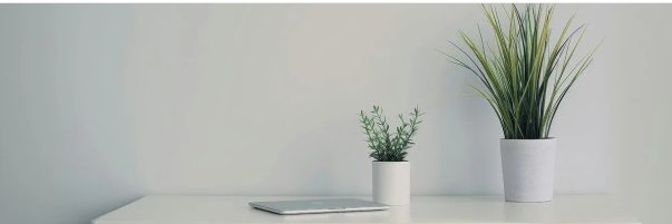 identitygap's profile banner image