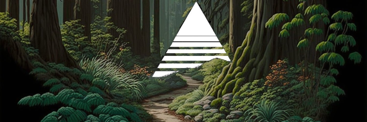 pacellichapa's profile banner image