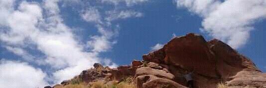 Alejandra Wilde banner