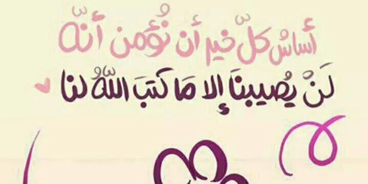 alsharifi494's profile banner image