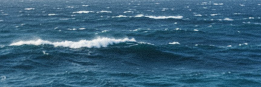 Felipe Mesquita banner