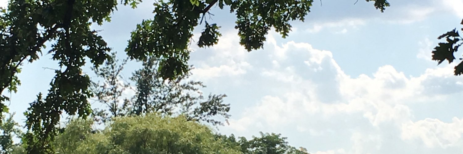 Dorisvllgs's profile banner image