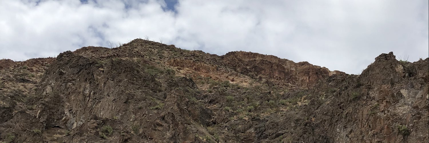 frannieval's profile banner image