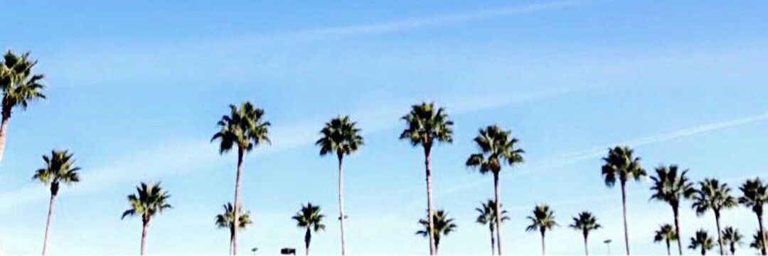 Michael Díaz banner