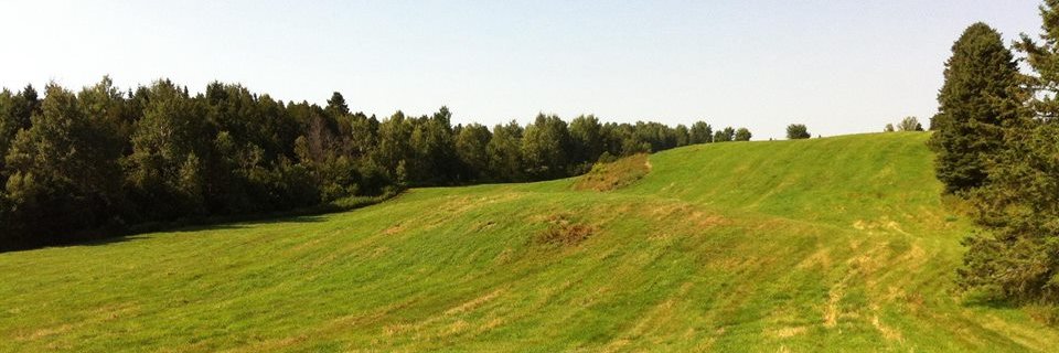 CloeRodrigue's profile banner image