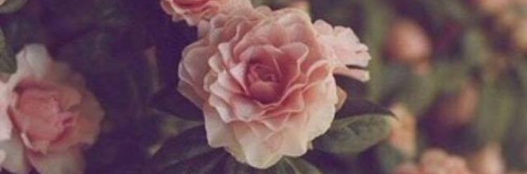 NOLA_MUA's profile banner image
