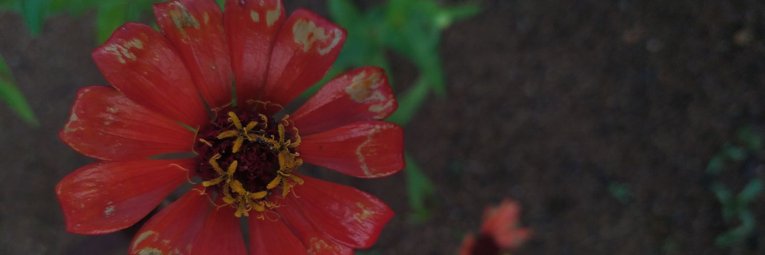 AleChau25's profile banner image