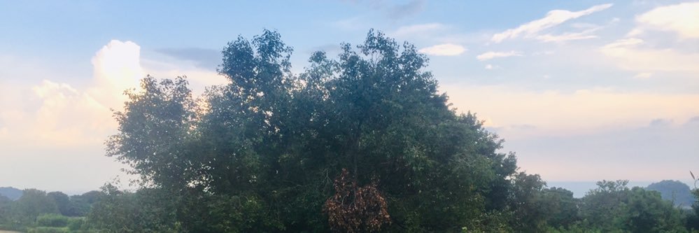 jeff4sales's profile banner image