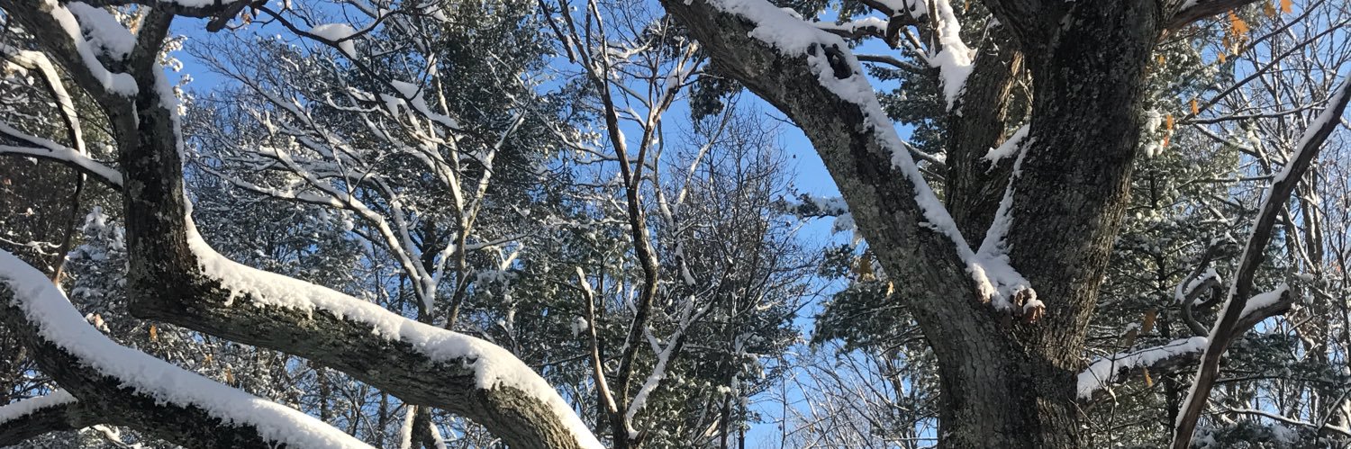 KrisMueller's profile banner image
