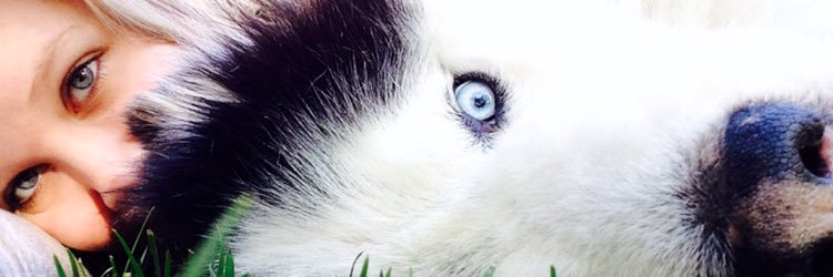 natmcurmi's profile banner image