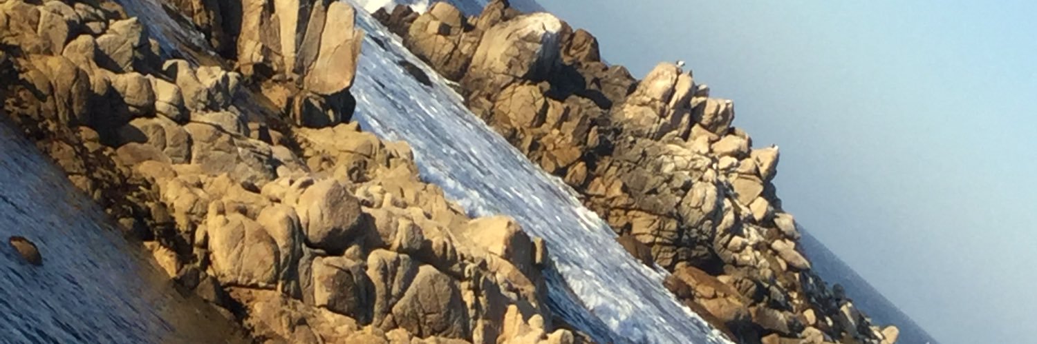 nestea26's profile banner image
