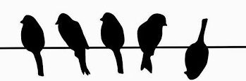 mohed737's profile banner image