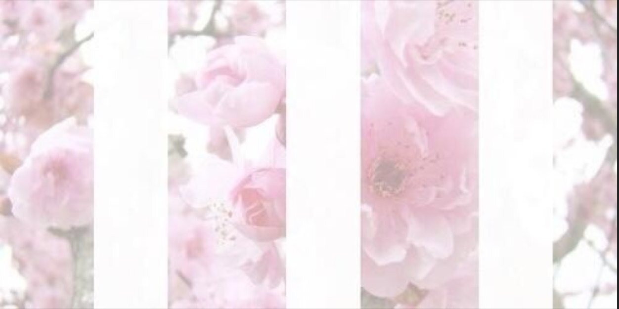 LolaBalerMH's profile banner image