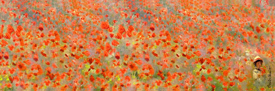 marj0105's profile banner image
