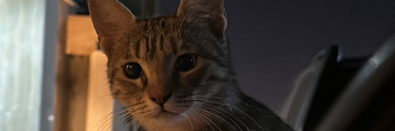 ELBNANE banner