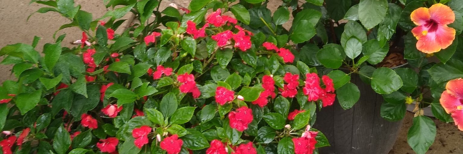 amartindawn's profile banner image