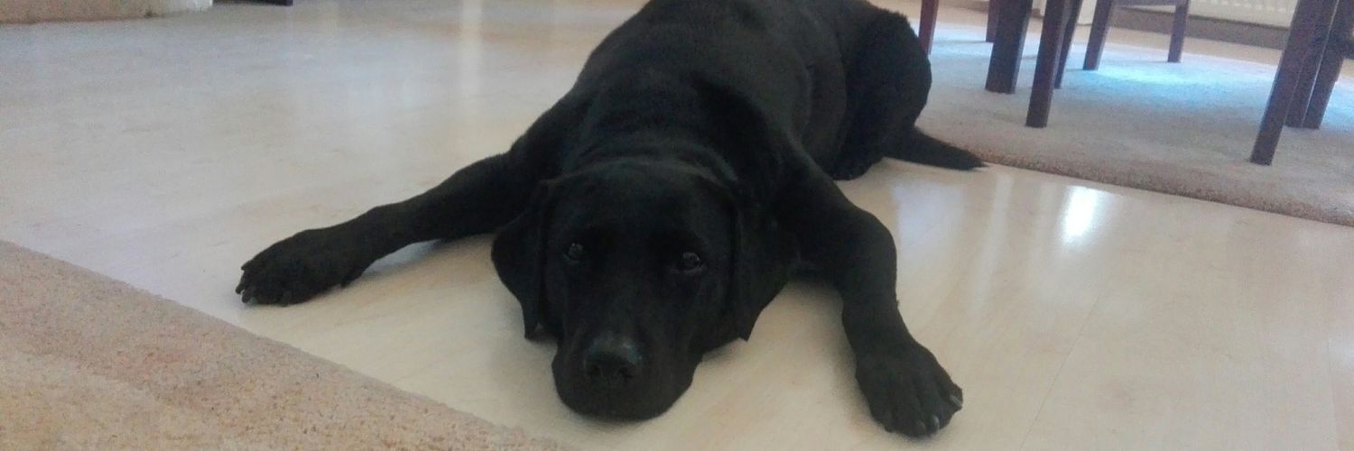 cathigreenxo's profile banner image