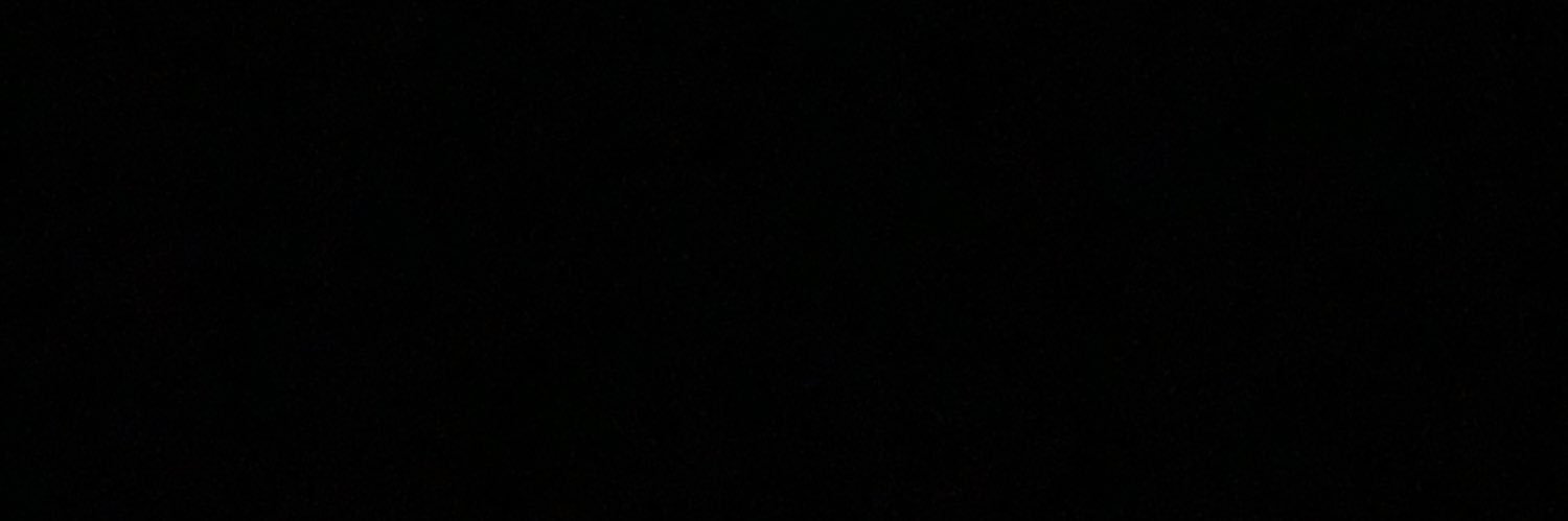 Ridsi17's profile banner image