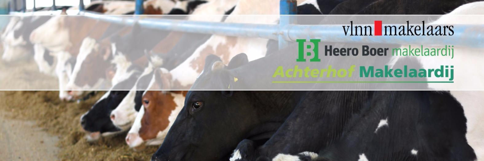 Interfarms's profile banner image