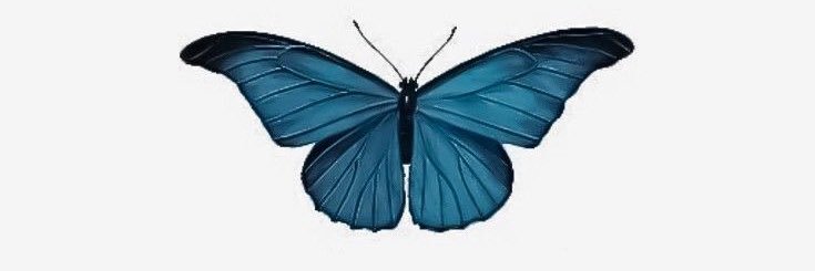 mymildpnd's profile banner image