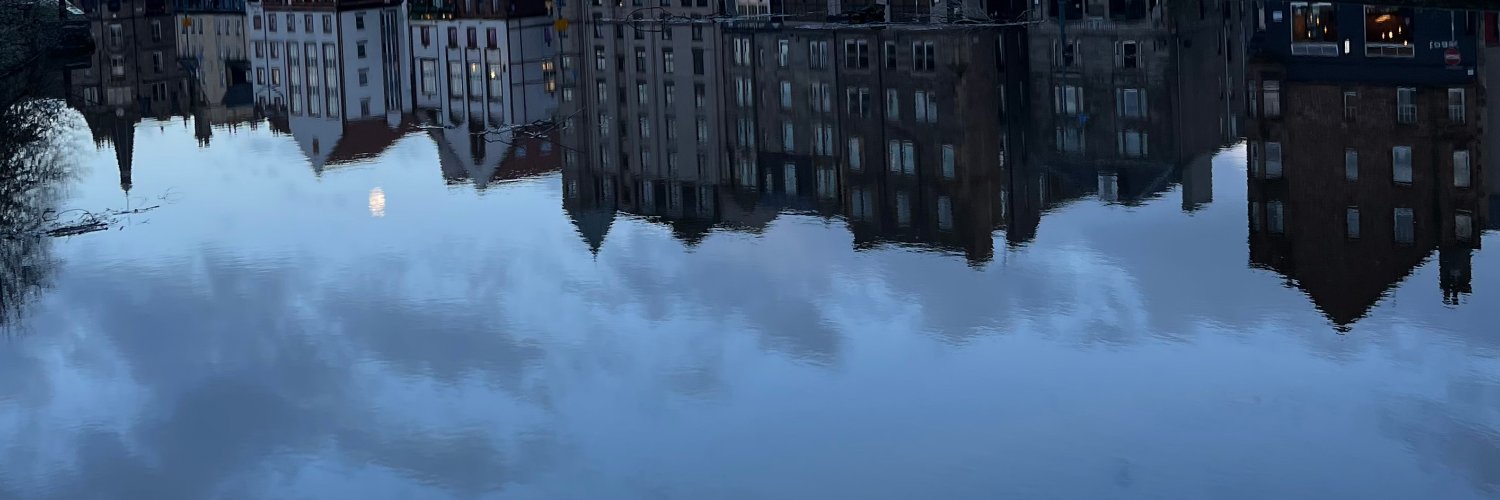 anneploin's profile banner image