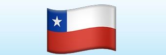 patricia vega banner