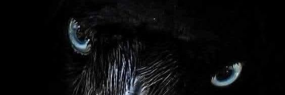 old_sandy's profile banner image