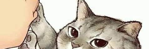 prinseskoco19's profile banner image