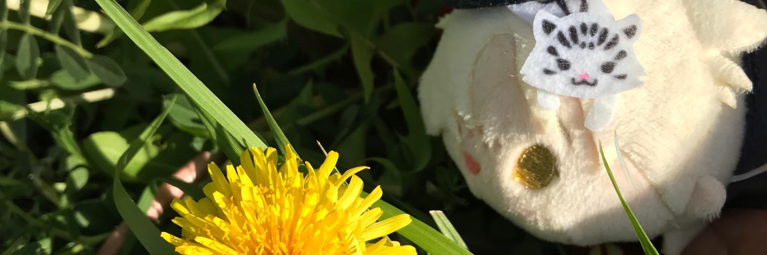 一葉なの(Hitoyou Nano) banner