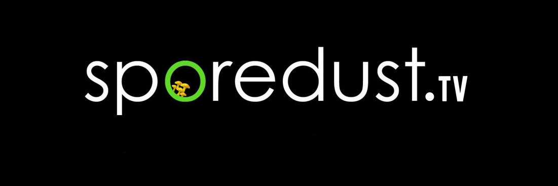 SporedustTV's profile banner image